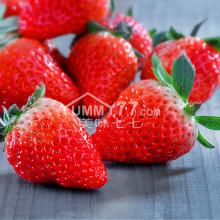 红霞草莓3盒装（约650g）